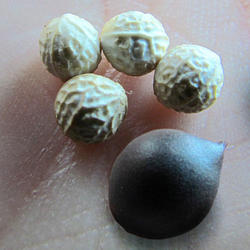 
photo credit: Gmihail