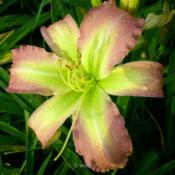 Location: Koeln,  GermanyDate: 2016