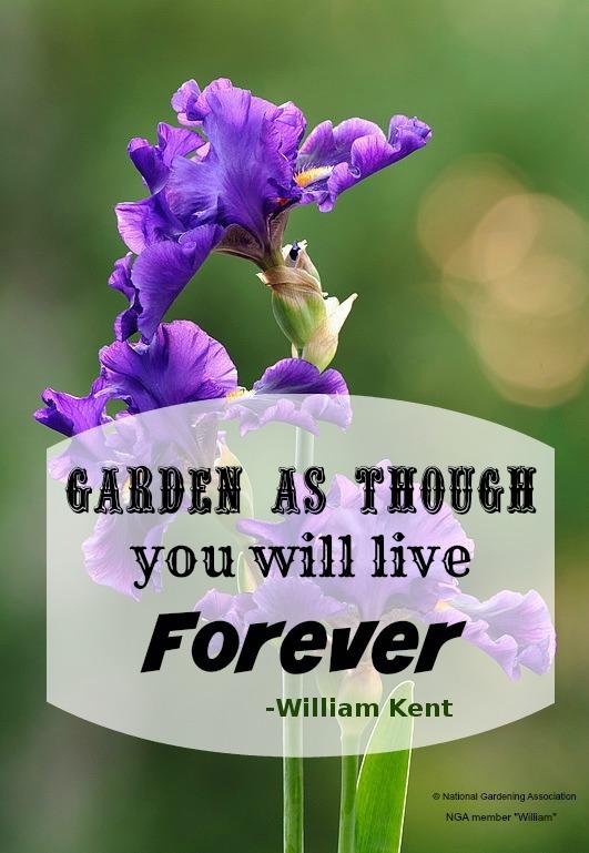 Inspiration Photo