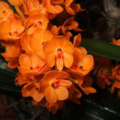 photo credit: Philip Wojtas