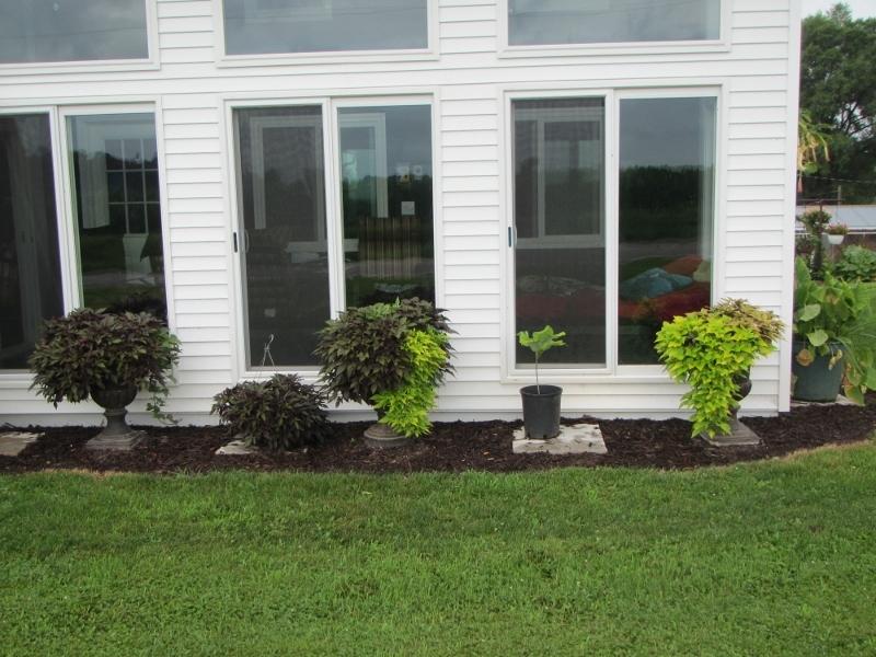 Containers forum: Front Yard Dilemma #1 - Garden.org