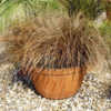 Photo courtesy of Santa Rosa Gardens. Used with permission.