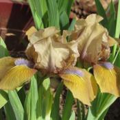 Location: Durham, NCDate: 2017-03-27