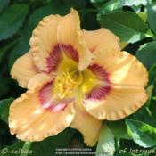 Location: Bochum, GermanyDate: 2017-06-24