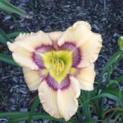 Location: IowaDate: 2017-06-24