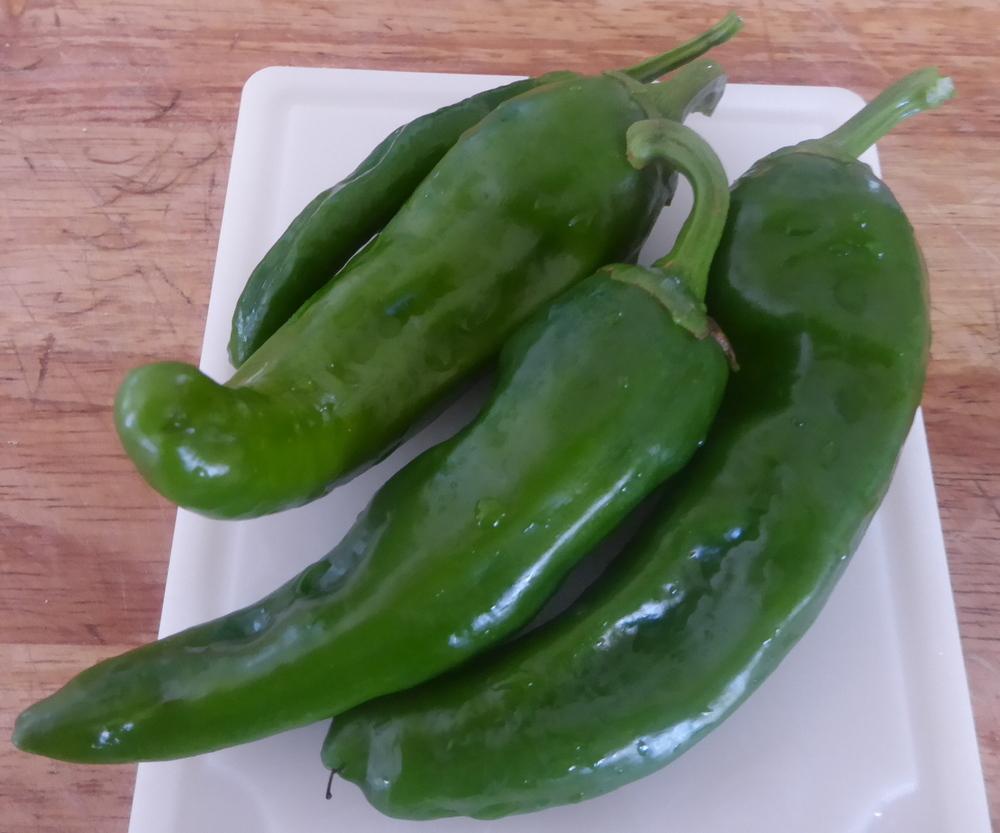 Hot Pepper (Capsicum annuum 'Chimayo') in the Peppers Database