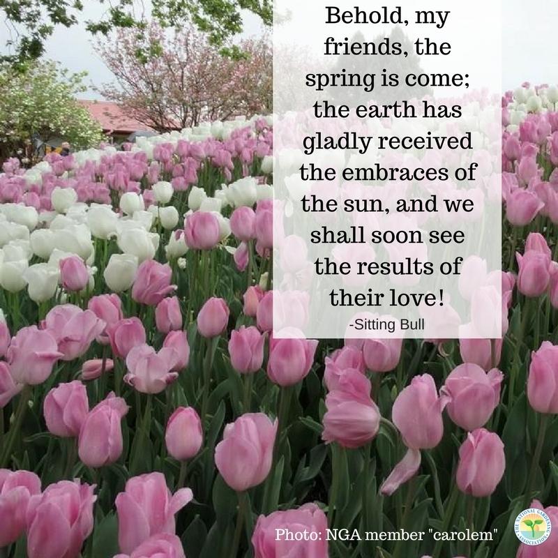 THE NATIONAL GARDEN ASSOCIATION visual data 7