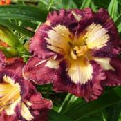 Location: France, Normandie