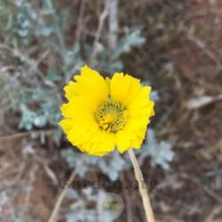 Location: Washington, Utah, United States