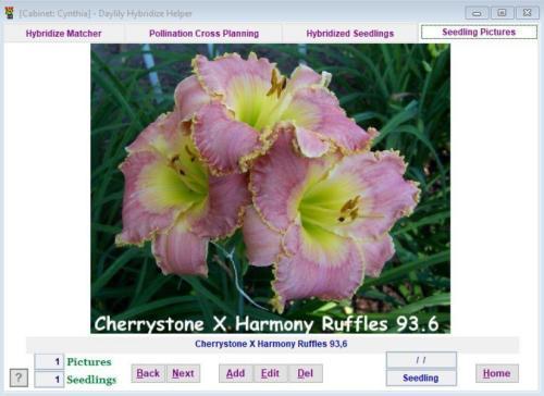 Thumb of 2019-02-28/petruske/0314c5
