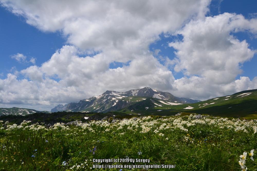 Sandbox forum: Let's share our beautiful landscape (scenery) photos. :) - Garden.org