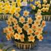 Walkers Bulbs exhibit
