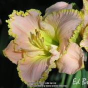 Location: Ed Burton, NE WisconsinDate: 2006-07-18OLYMPUS DIGITAL CAMERA