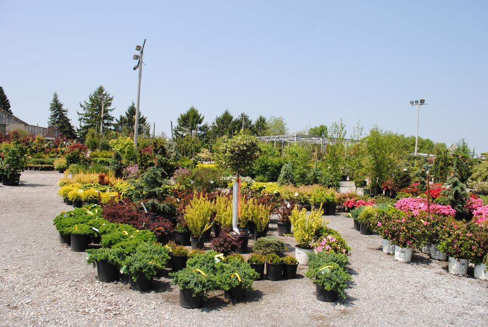 Two kinds of Nurseries in the Native Habitats forum