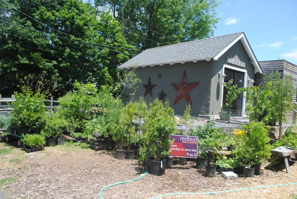 Two kinds of Nurseries in the Native Habitats forum