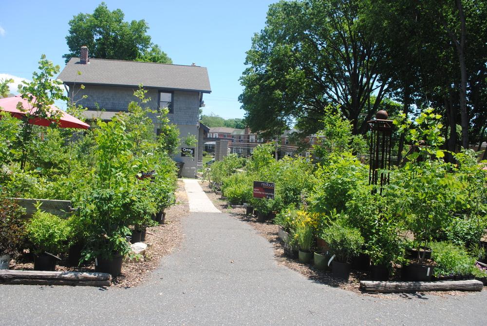 Two kinds of Nurseries in the Native Habitats forum