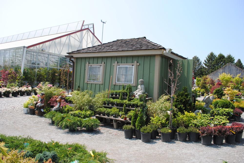 Two kinds of Nurseries in the Native Habitats forum