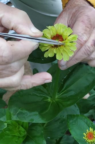 Thumb of 2019-08-03/GardenOfEaten/43f649