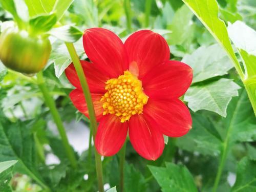 Thumb of 2019-08-05/GardenOfEaten/f10f78