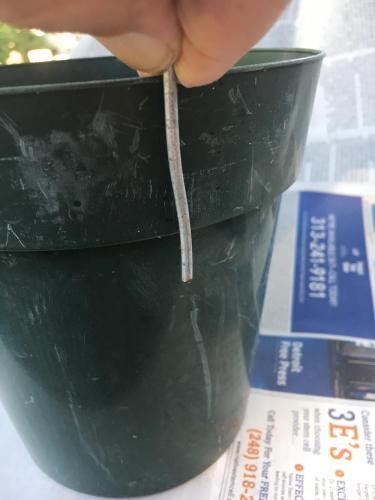 Thumb of 2019-09-24/BigBill/1d08ff