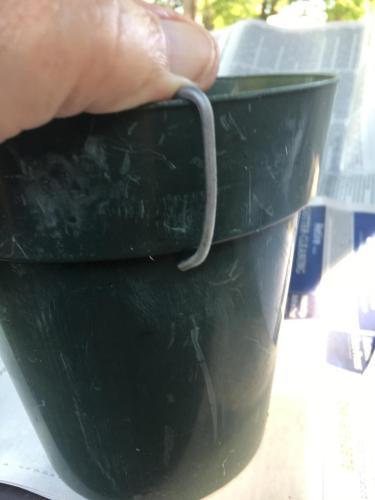 Thumb of 2019-09-24/BigBill/b46a51