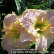 Location: southern KYDate: 6/18/2019