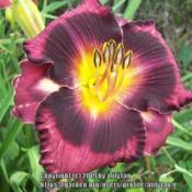 Location: southern KYDate: 6/14/2019