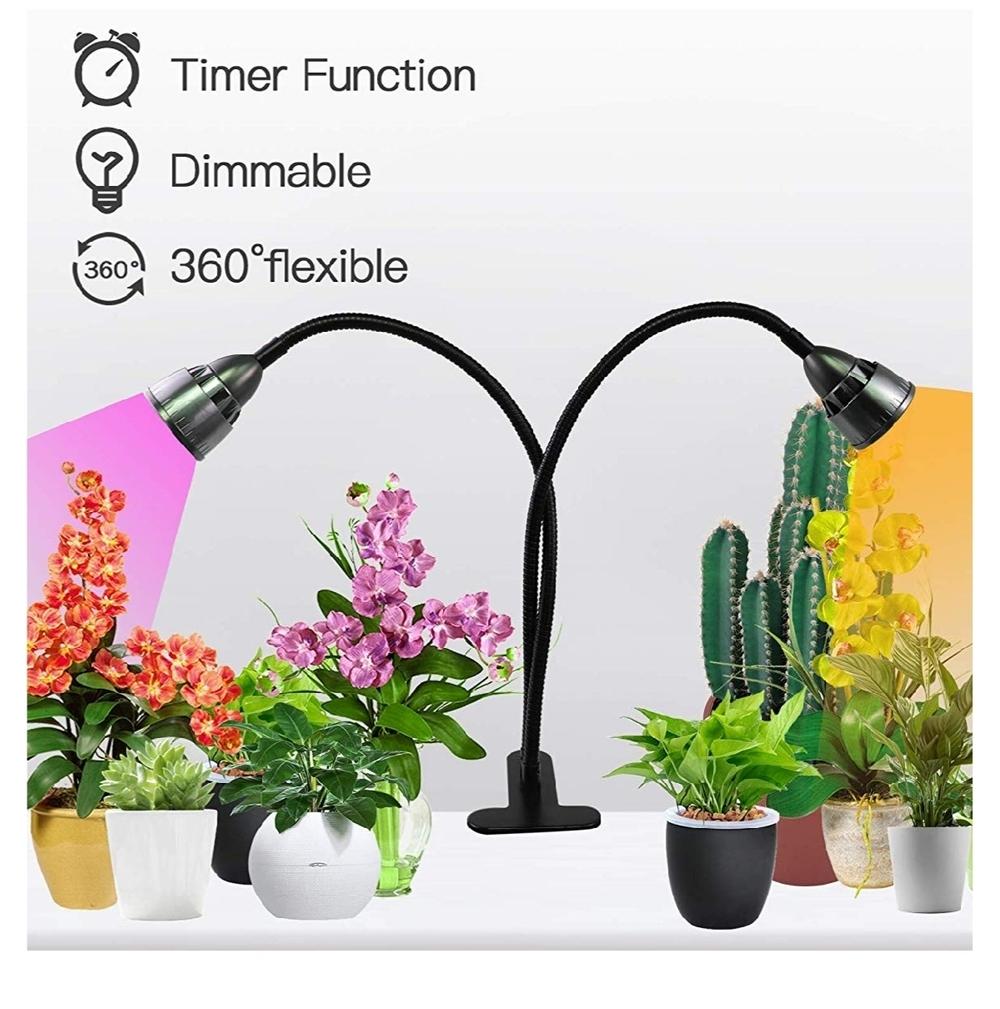 Indoor grow light bulbs in the Cactus and Succulents forum