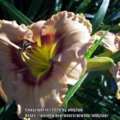 Location: southern KYDate: 6/14/2019