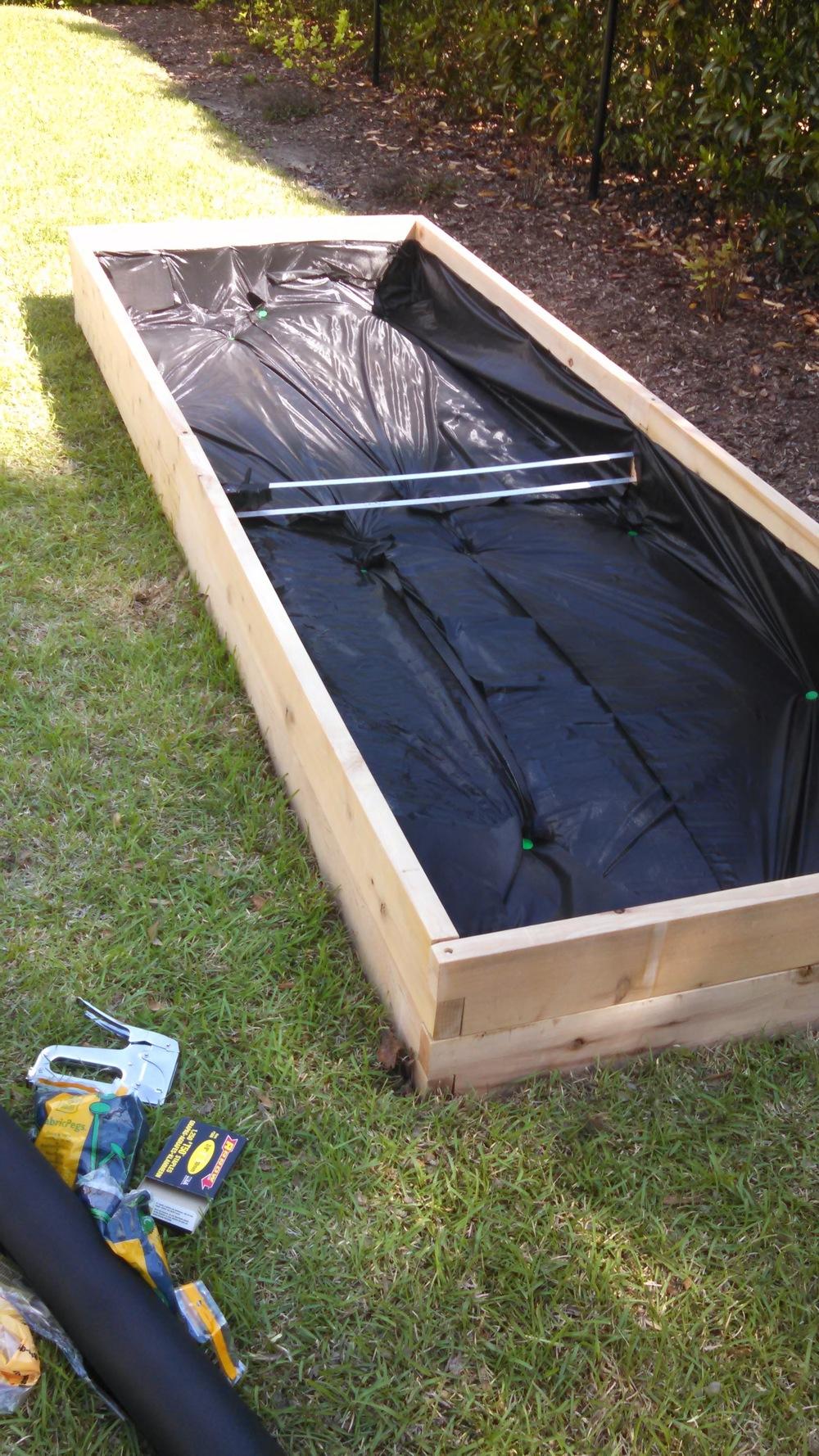 Old roots in raised bed in the Ask a Question forum