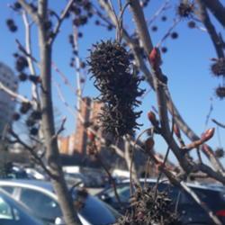 Photo by skopjecollection