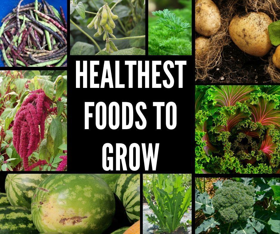 Top 10 Healthiest Garden Vegetables