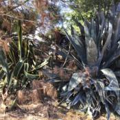 Posted by KFredenburg