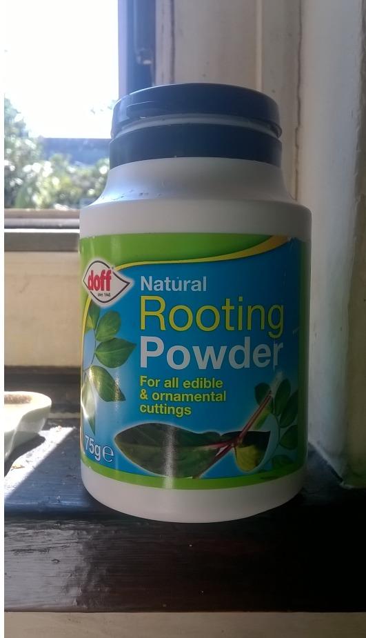 Using Rooting Powder Rooting powder. in the Ask a Question forum - Garden.org