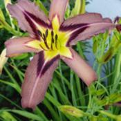 Location: Neenah, WIDate: 7/7/20