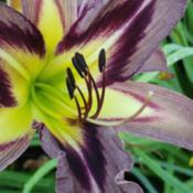 Location: Neenah, WIDate: 7/29/20