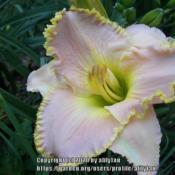 Location: southern KYDate: 2020-06-14