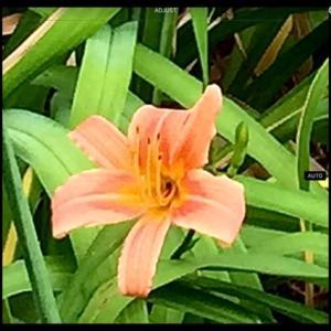 Not sure if I still have this Not sure if I still have this