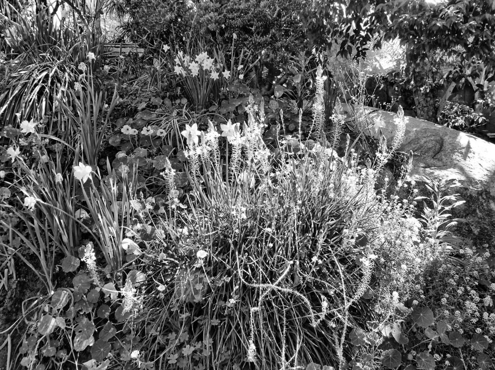 Banner for March 15, 2021 by EscondidoCal in the Site Banners forum