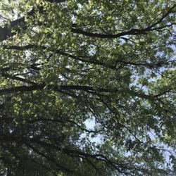 Location: Zilker Nature Preserve, Austin, Texas
Date: 2022-04-05