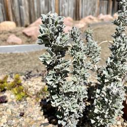 Location: Denver, CO
Date: 2022-04-07