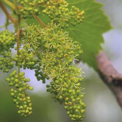 Location: Milwaukee, Wisconsin
Date: 06/13/2008
photo by Dan Mullen via Flickr: https://www.flickr.com/photos/858