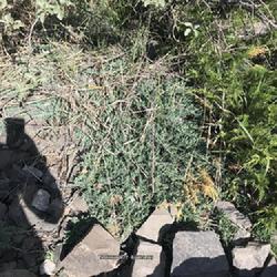 Location: Banff, Canada | August 2022
Date: 2022-08-02