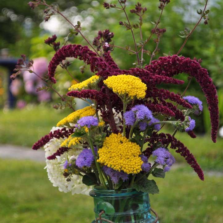 Drying Flowers From Your Garden