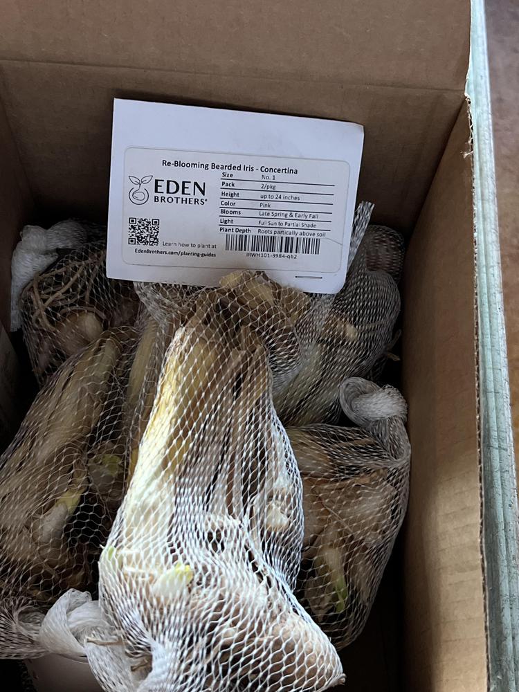 Storing Bearded Iris Rhizomes for Winter in the Irises forum - Garden.org