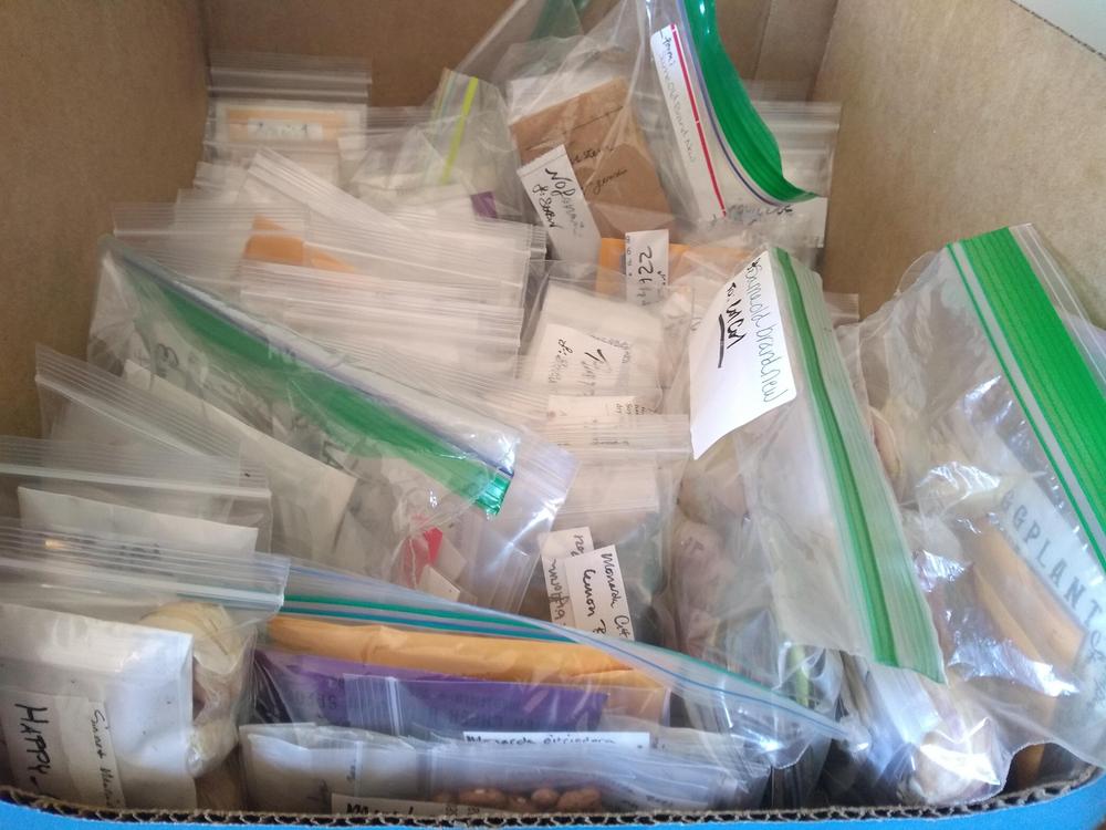 Mailed my seeds today! in DND's All Seeds Swap 9 (2022)