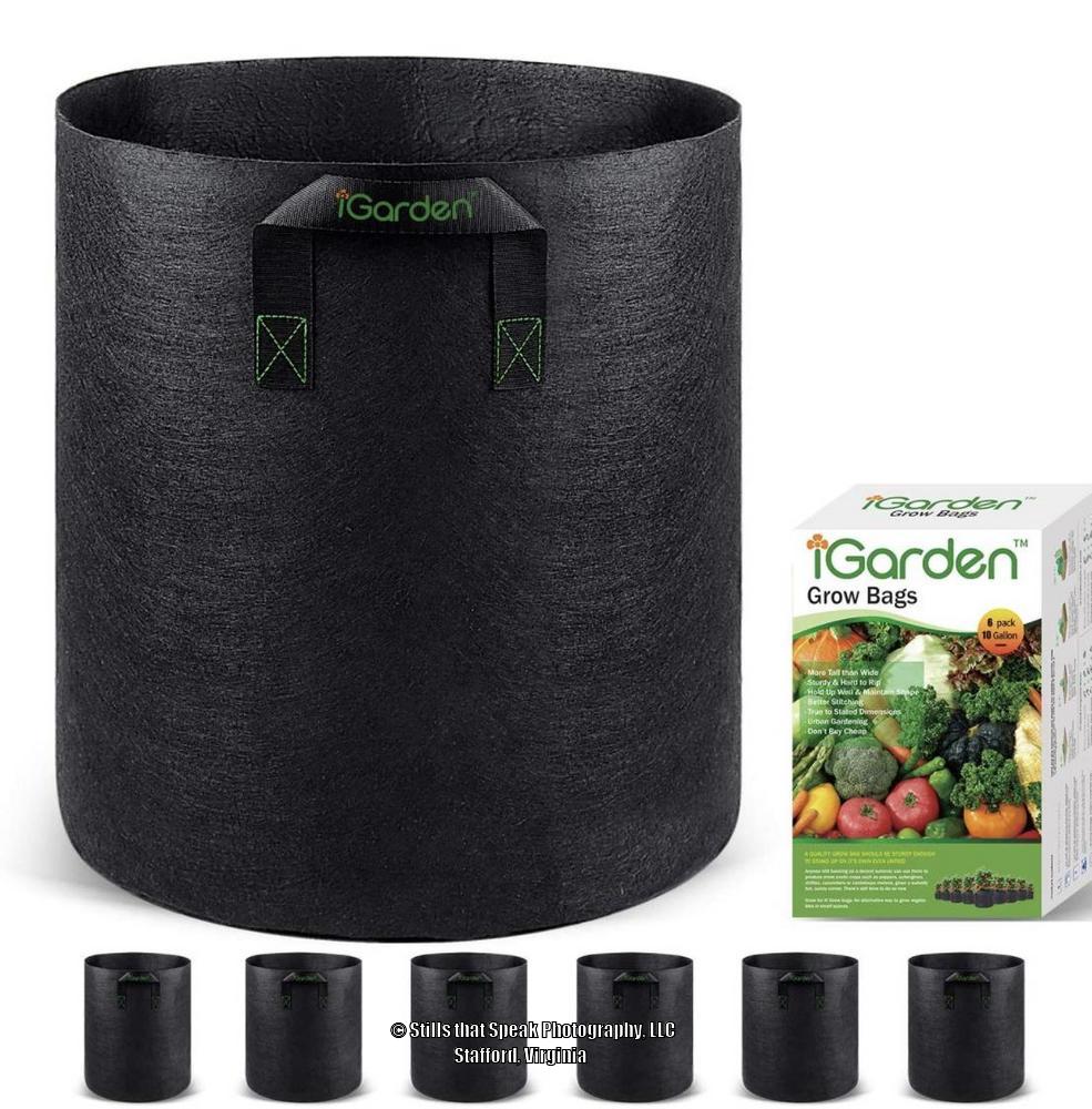 Grow bags vs nursery pot? in the Brugmansias forum