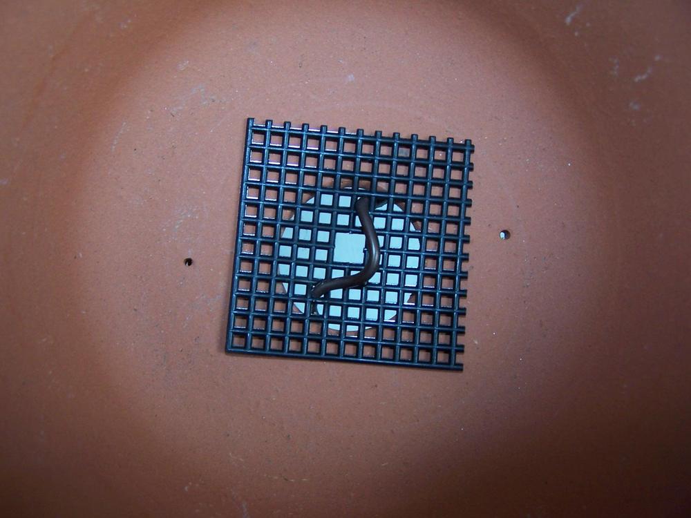 Planter hole plugs up with soil in the Ask a Question forum