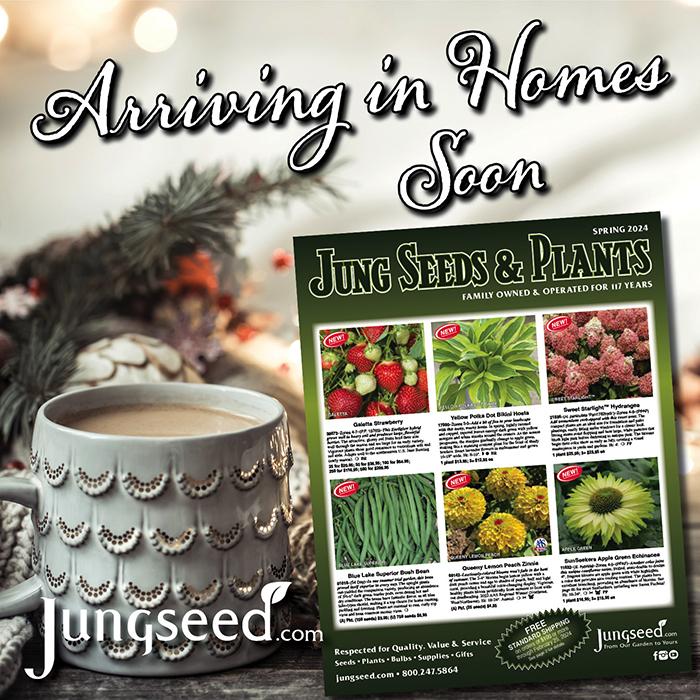 Newsletter for December 9th, 2023