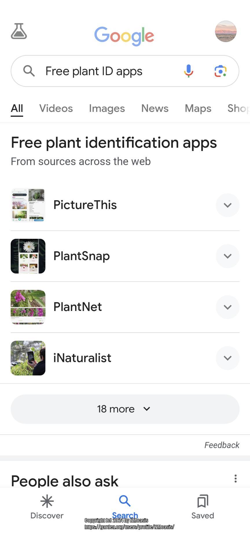Plant Identification Project in the Plant ID forum